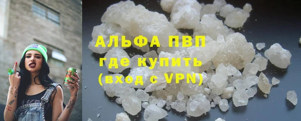 прущие грибы Краснослободск