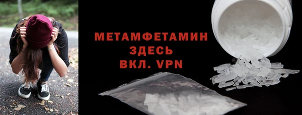 прущие грибы Краснослободск