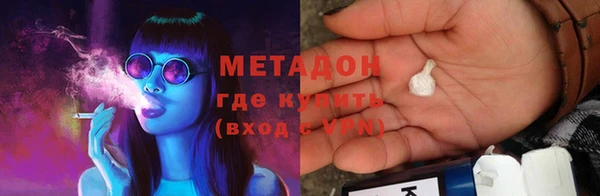 прущие грибы Краснослободск