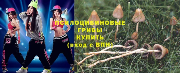 прущие грибы Краснослободск