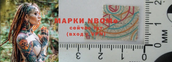 прущие грибы Краснослободск