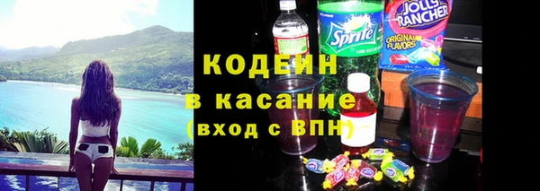 прущие грибы Краснослободск