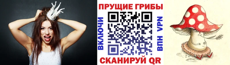 Псилоцибиновые грибы Magic Shrooms  Купить закладки  Старый Оскол 