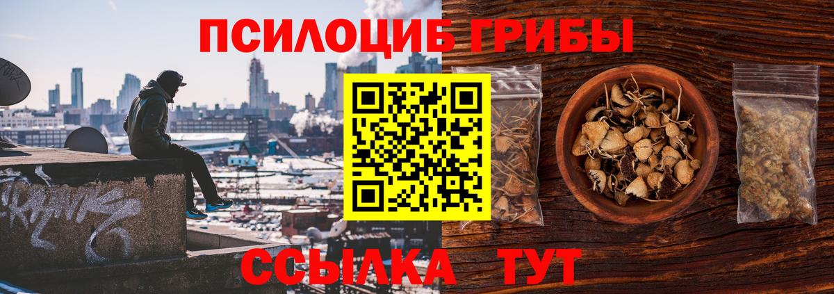 Галлюциногенные грибы Psilocybine cubensis  продажа наркотиков  Старый Оскол  Вход с VPN 